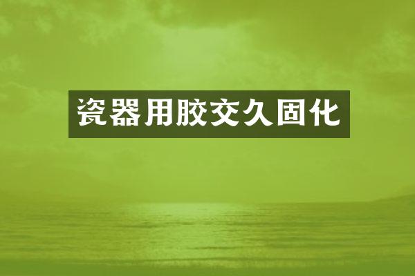 瓷器用胶交久固化