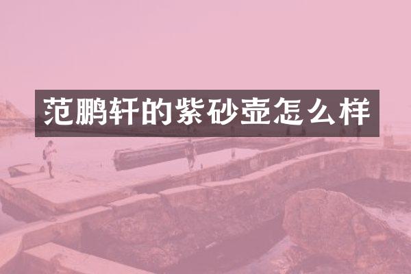 范鹏轩的紫砂壶怎么样