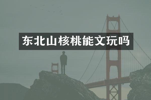 东北山核桃能文玩吗