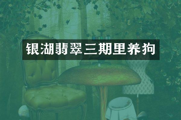 银湖翡翠三期里