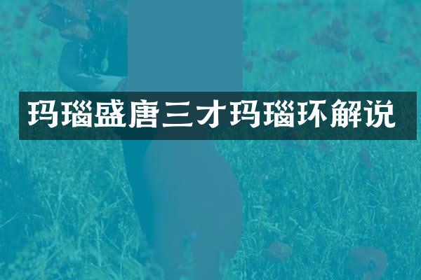 玛瑙盛唐三才玛瑙环解说
