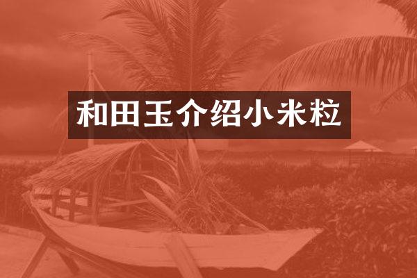 和田玉介绍小米粒