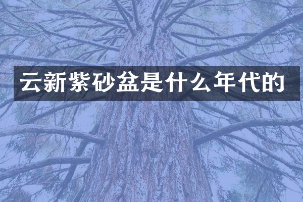 云新紫砂盆是什么年代的
