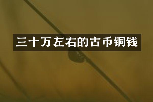 三十万左右的古币铜钱