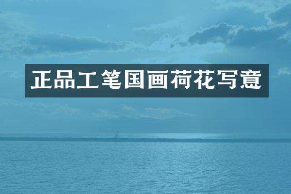 正品工笔国画荷花写意