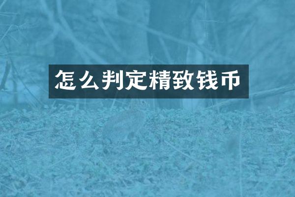 怎么判定精致钱币