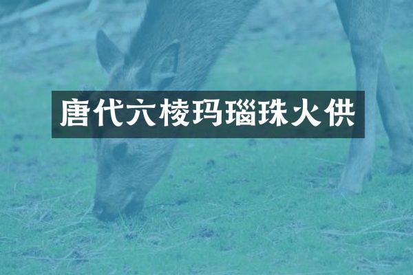 唐代六棱玛瑙珠火供