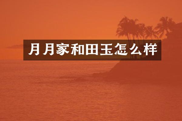 月月家和田玉怎么样