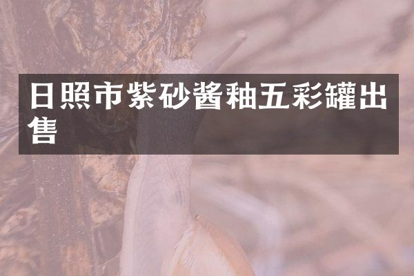 日照市紫砂酱釉五彩罐出售