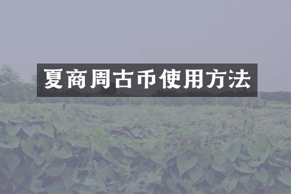 夏商周古币使用方法