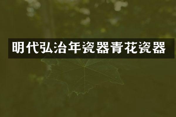 明代弘治年瓷器青花瓷器