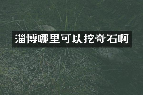 淄博哪里可以挖奇石啊