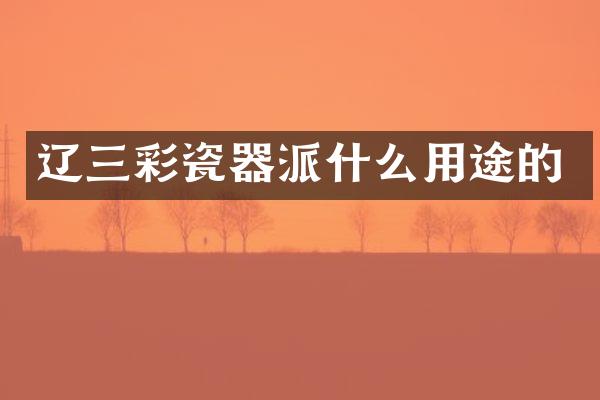 辽三彩瓷器派什么用途的