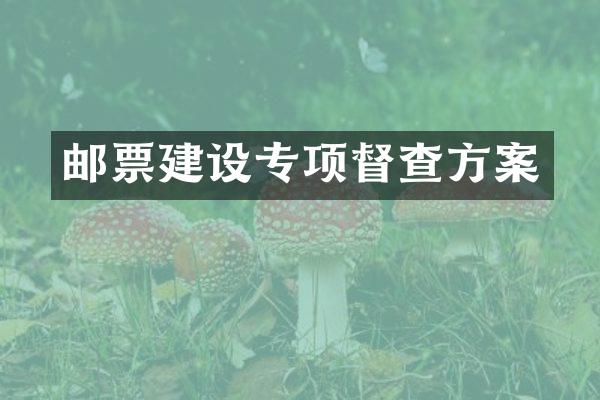 邮票建设专项督查方案