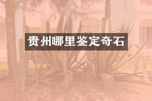 贵州哪里鉴定奇石