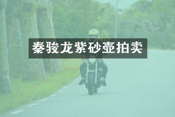 秦骏龙紫砂壶拍卖