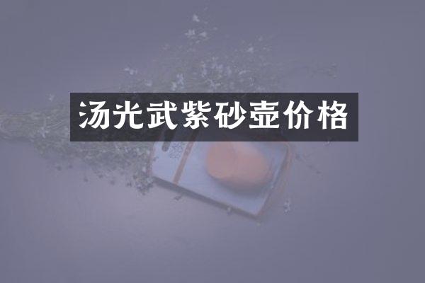 汤光武紫砂壶价格