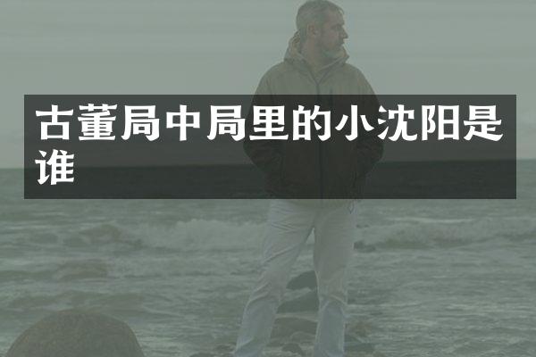 古董局中局里的小沈阳是谁