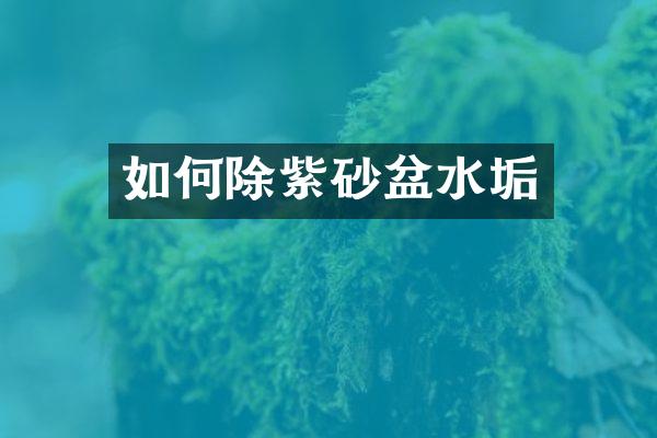 如何除紫砂盆水垢
