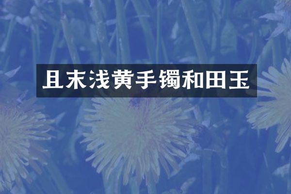 且末浅黄手镯和田玉