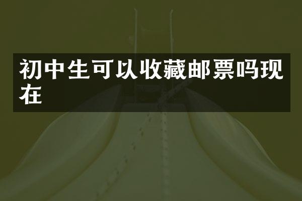初中生可以收藏邮票吗现在