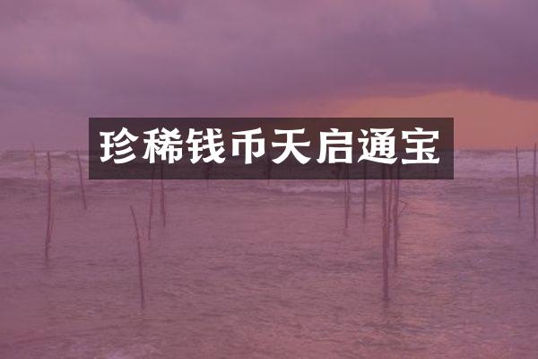 珍稀钱币天启通宝