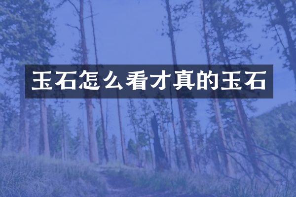 玉石怎么看才真的玉石
