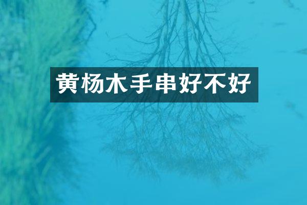 黄杨木手串好不好