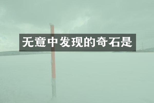 无意中发现的奇石是