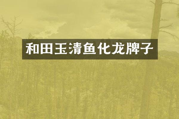 和田玉清鱼化龙牌子
