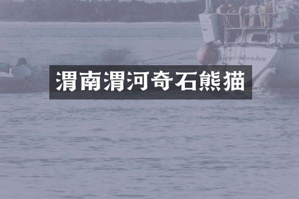 渭南渭河奇石熊猫