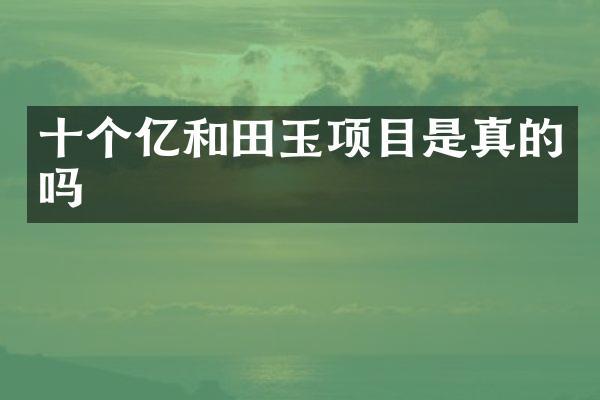 十个亿和田玉项目是真的吗