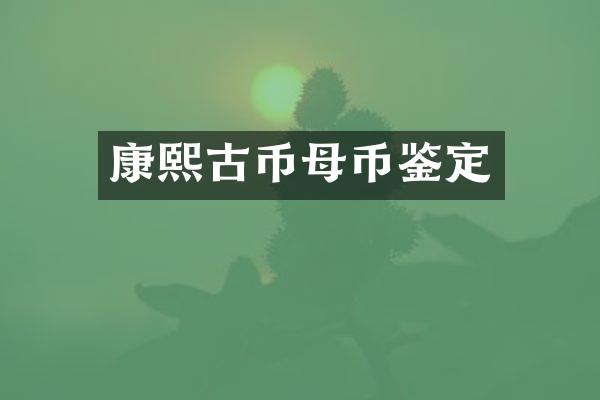 康熙古币母币鉴定