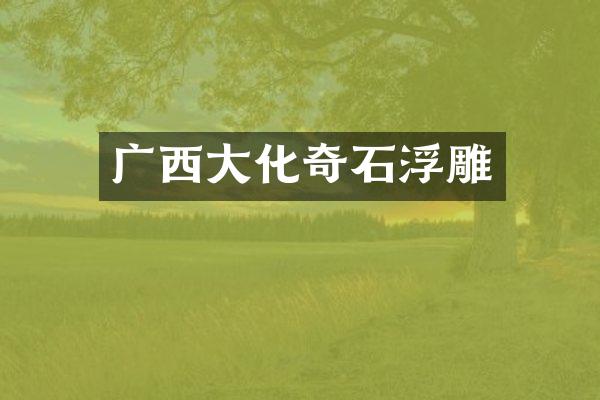 广西大化奇石浮雕