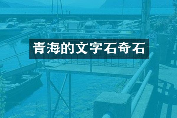 青海的文字石奇石