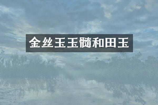 金丝玉玉髓和田玉