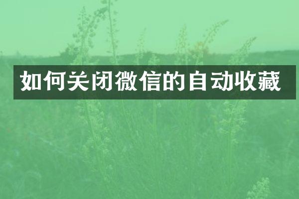 如何关闭微信的自动收藏