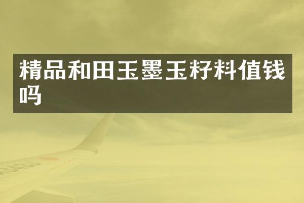 精品和田玉墨玉籽料值钱吗