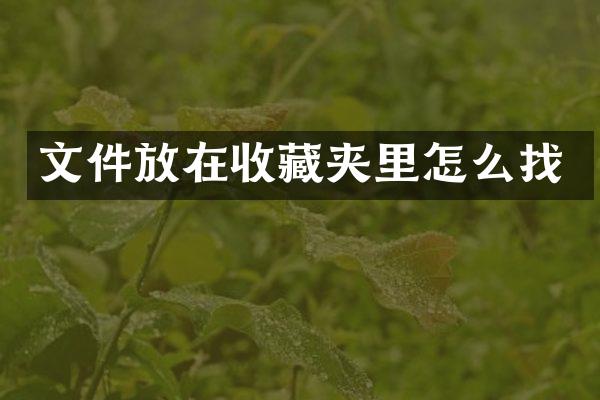 文件放在收藏夹里怎么找