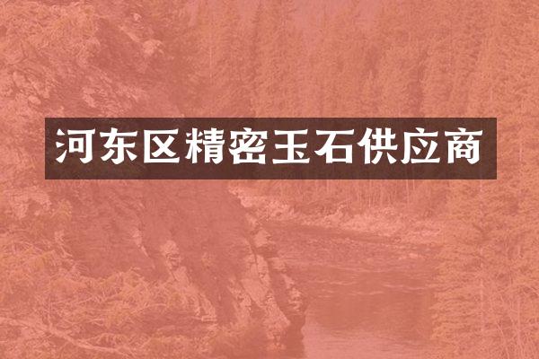 河东区精密玉石供应商