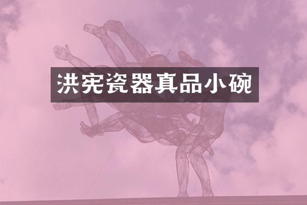 洪宪瓷器真品小碗