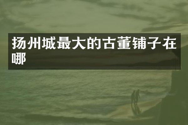 扬州城最大的古董铺子在哪