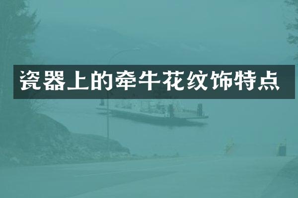 瓷器上的牵牛花纹饰特点