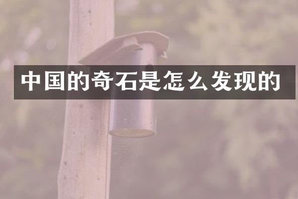 中国的奇石是怎么发现的