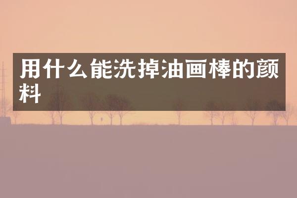 用什么能洗掉油画棒的颜料