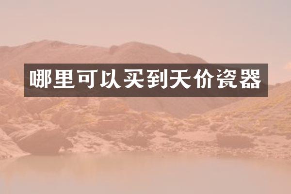 哪里可以买到天价瓷器