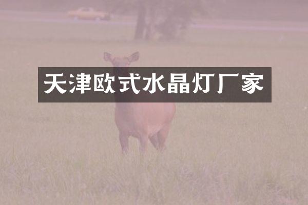 天津欧式水晶灯厂家