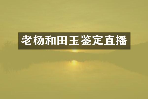 老杨和田玉鉴定直播