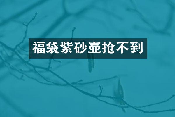 福袋紫砂壶抢不到
