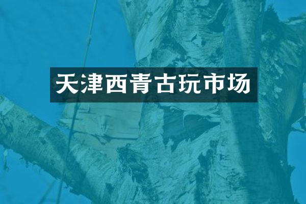 天津西青古玩市场